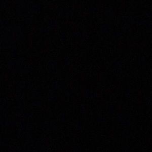 Meet your Posher, Bella